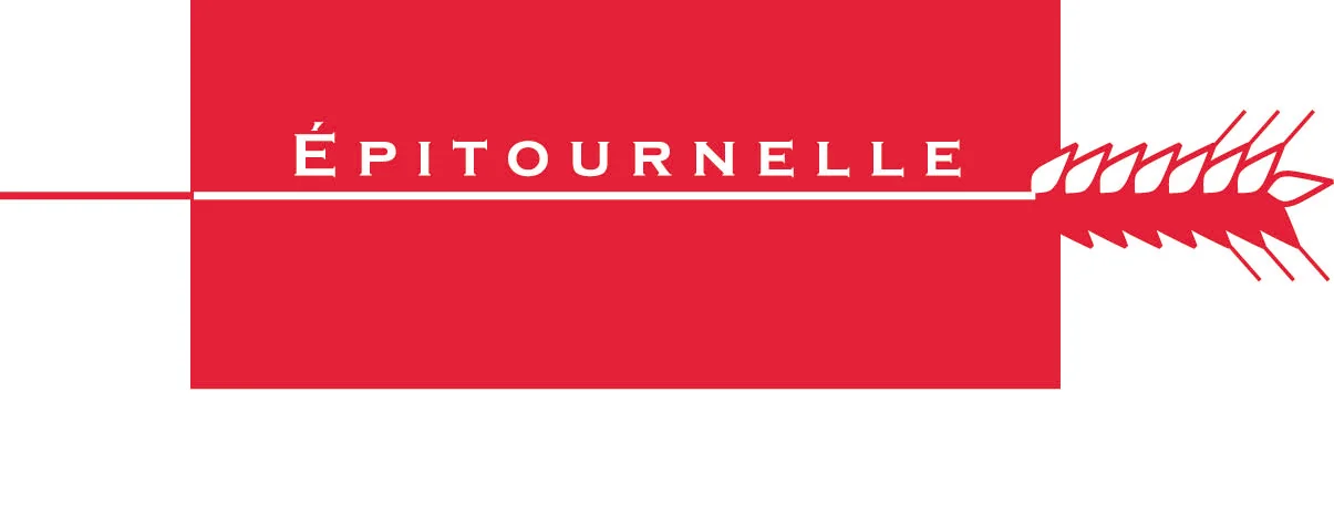 Épitournelle